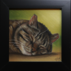 Miniatuur tekening in pastel van een slapende kat