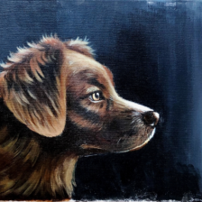 Acrylverf schilderij hond