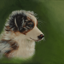 Acrylverf schilderij hond