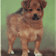 Schilderij hond