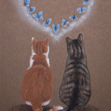 Valentijn tekening katten
