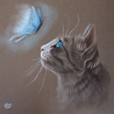 Tekening pastel kat met vlinder